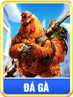 đá gà bl555