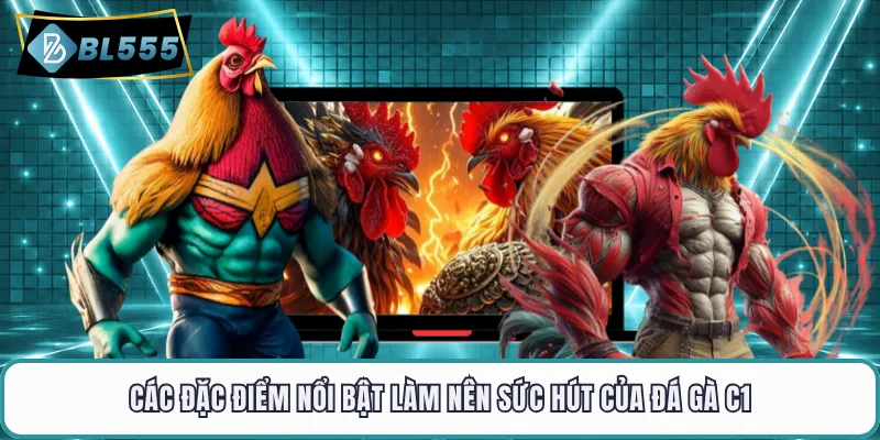 Các đặc điểm nổi bật làm nên sức hút của đá gà C1
