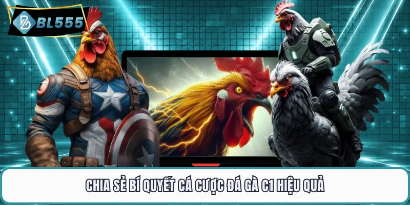 Chia sẻ bí quyết cá cược đá gà C1 hiệu quả