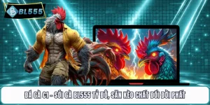 Đá Gà C1 - Sới Gà BL555 Tỷ Đô, Săn Kèo Chất Đổi Đời Phất