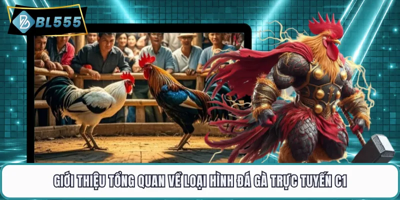 Giới thiệu tổng quan về loại hình đá gà trực tuyến C1