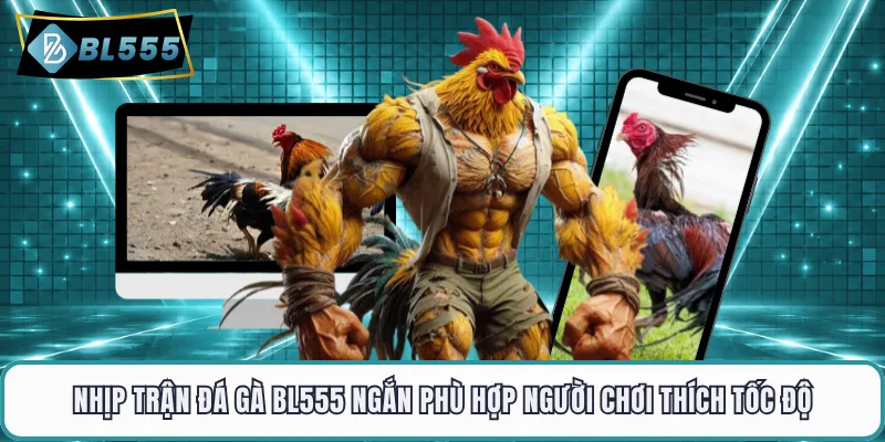 Nhịp trận đá gà BL555 ngắn phù hợp người chơi thích tốc độ